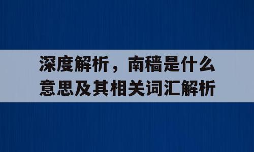 深度解析，南穑是什么意思及其相关词汇解析