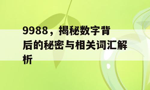 9988，揭秘数字背后的秘密与相关词汇解析