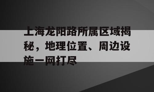 上海龙阳路所属区域揭秘，地理位置、周边设施一网打尽